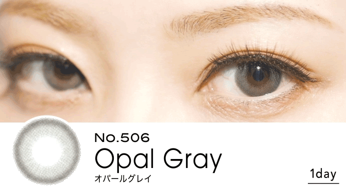 Opal Gray | 1day 10pcs